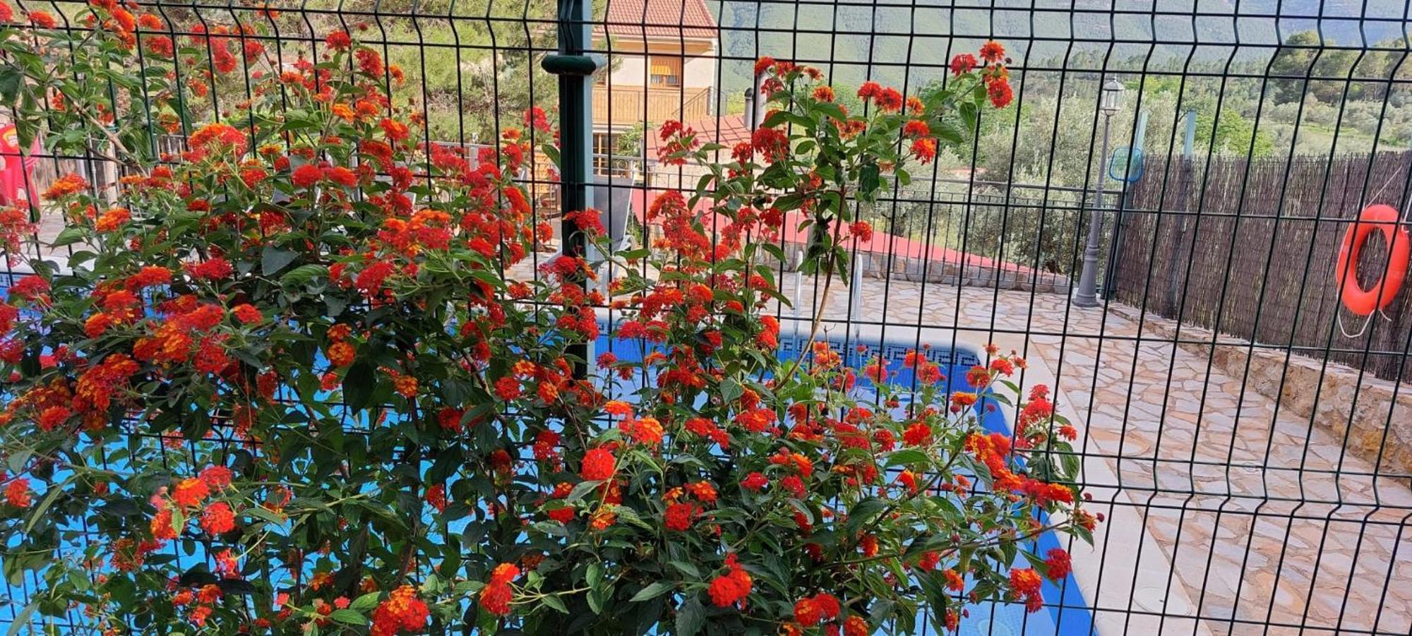 Casas Rurales Cerro Lobo ジェステ エクステリア 写真