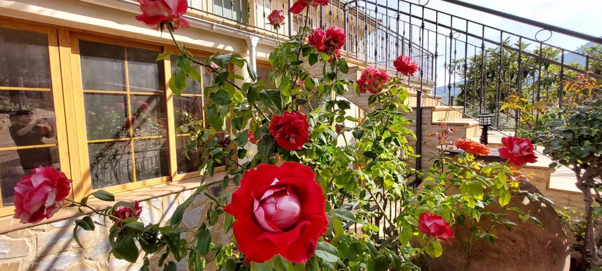 Casas Rurales Cerro Lobo ジェステ エクステリア 写真