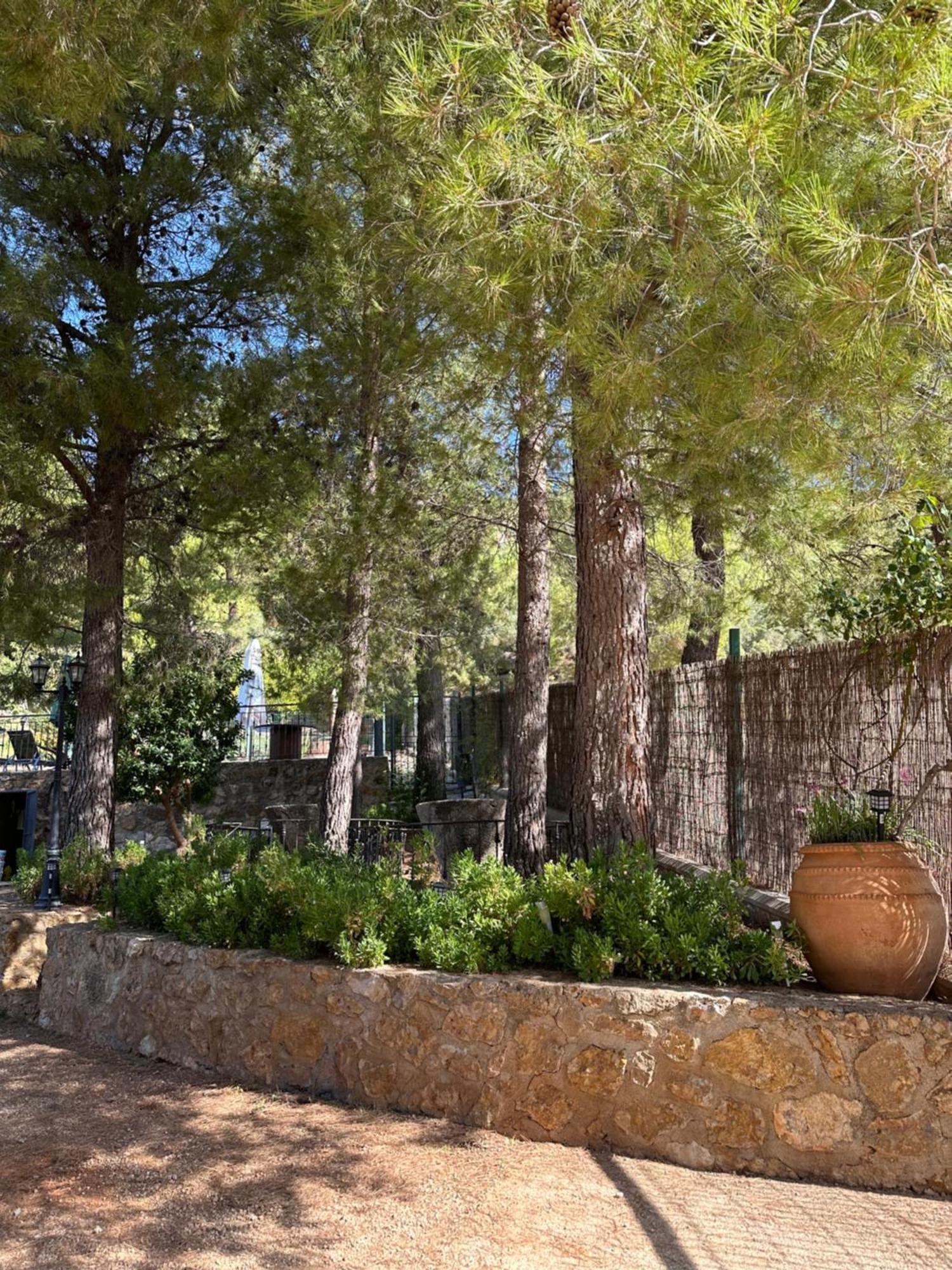Casas Rurales Cerro Lobo ジェステ エクステリア 写真