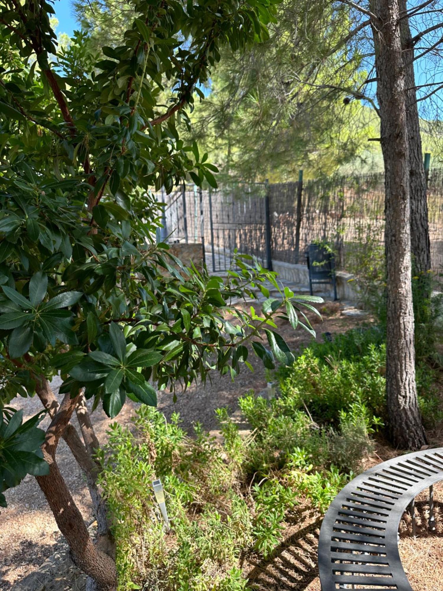 Casas Rurales Cerro Lobo ジェステ エクステリア 写真