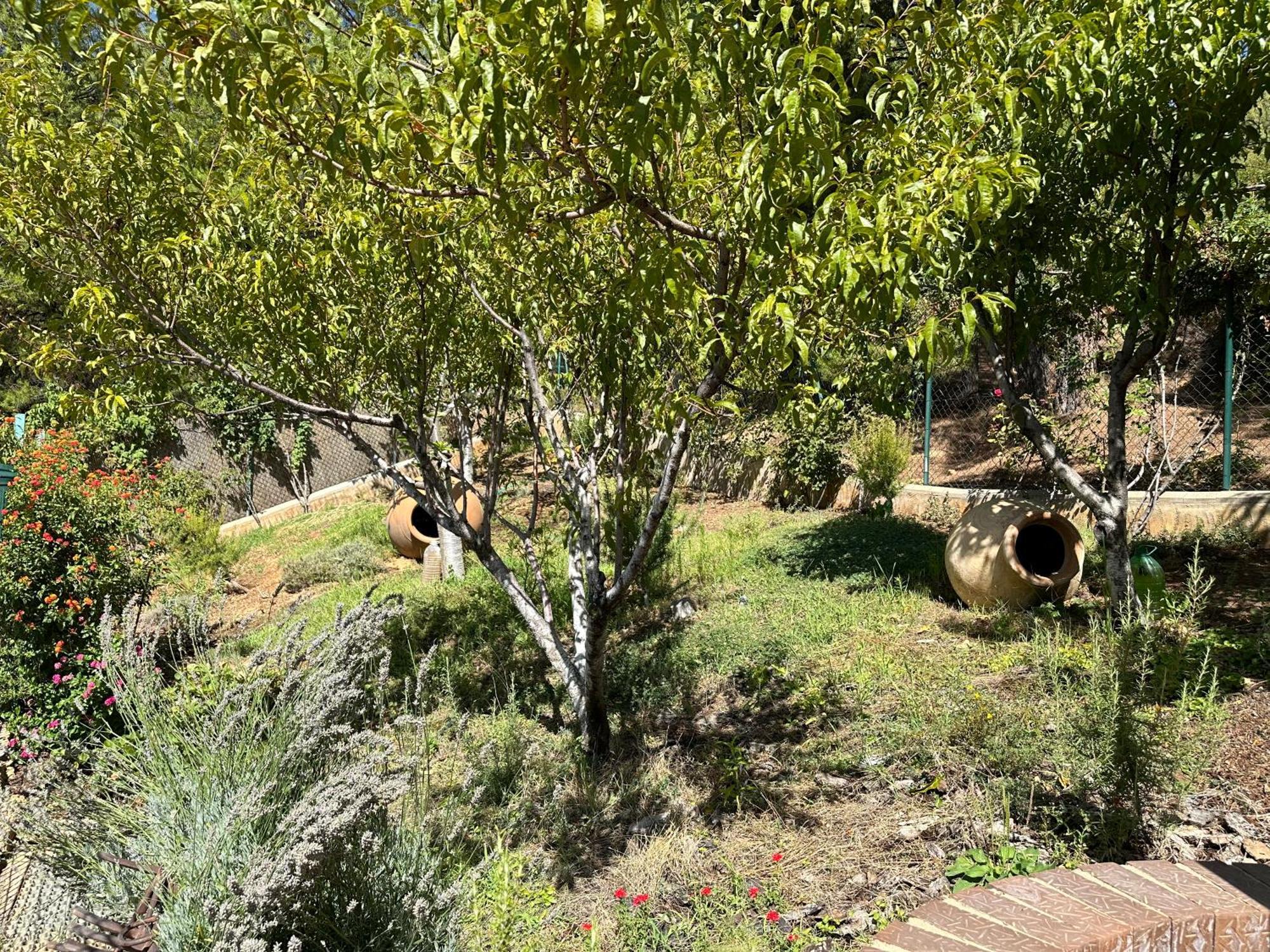 Casas Rurales Cerro Lobo ジェステ エクステリア 写真