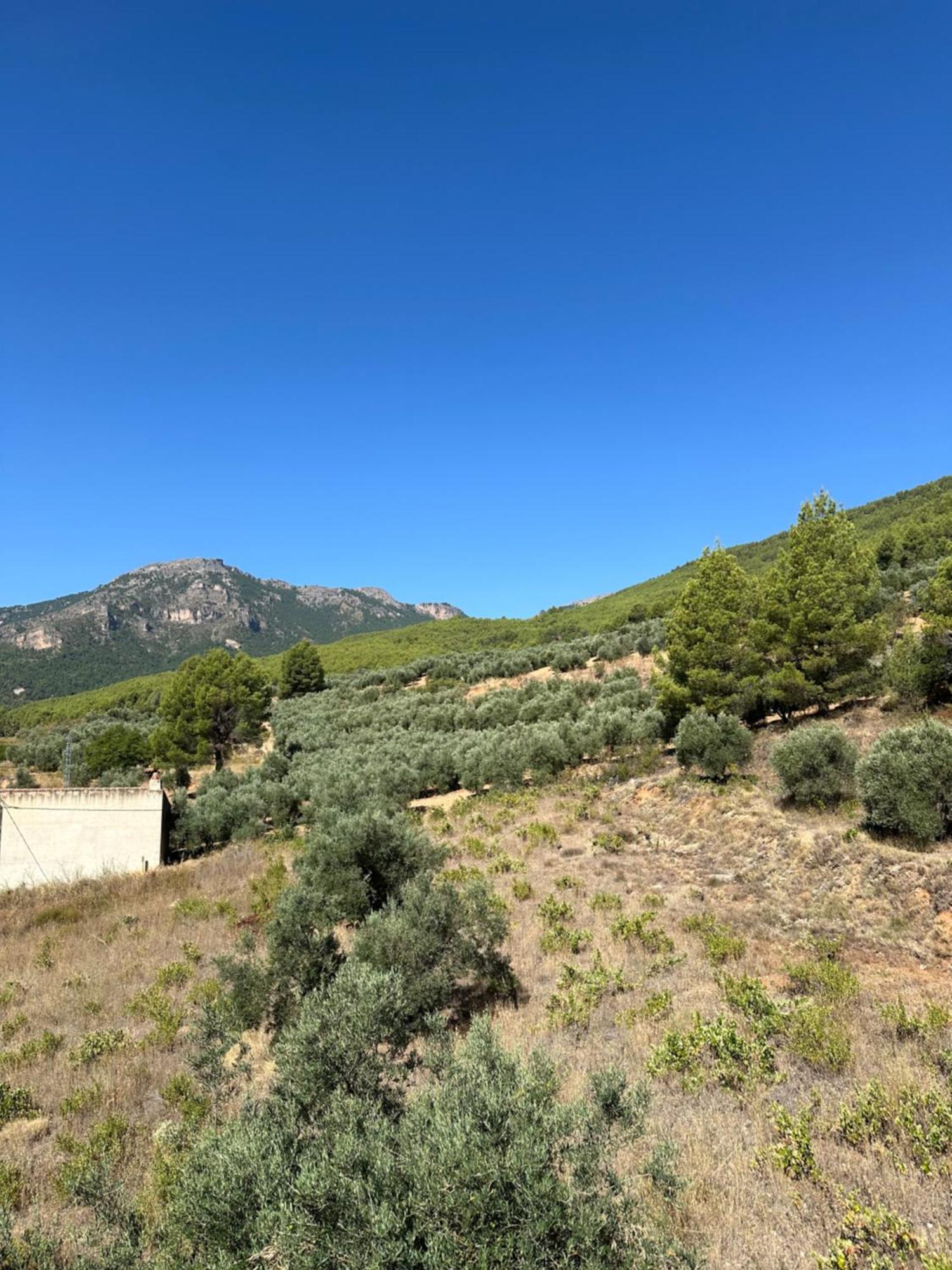 Casas Rurales Cerro Lobo ジェステ エクステリア 写真