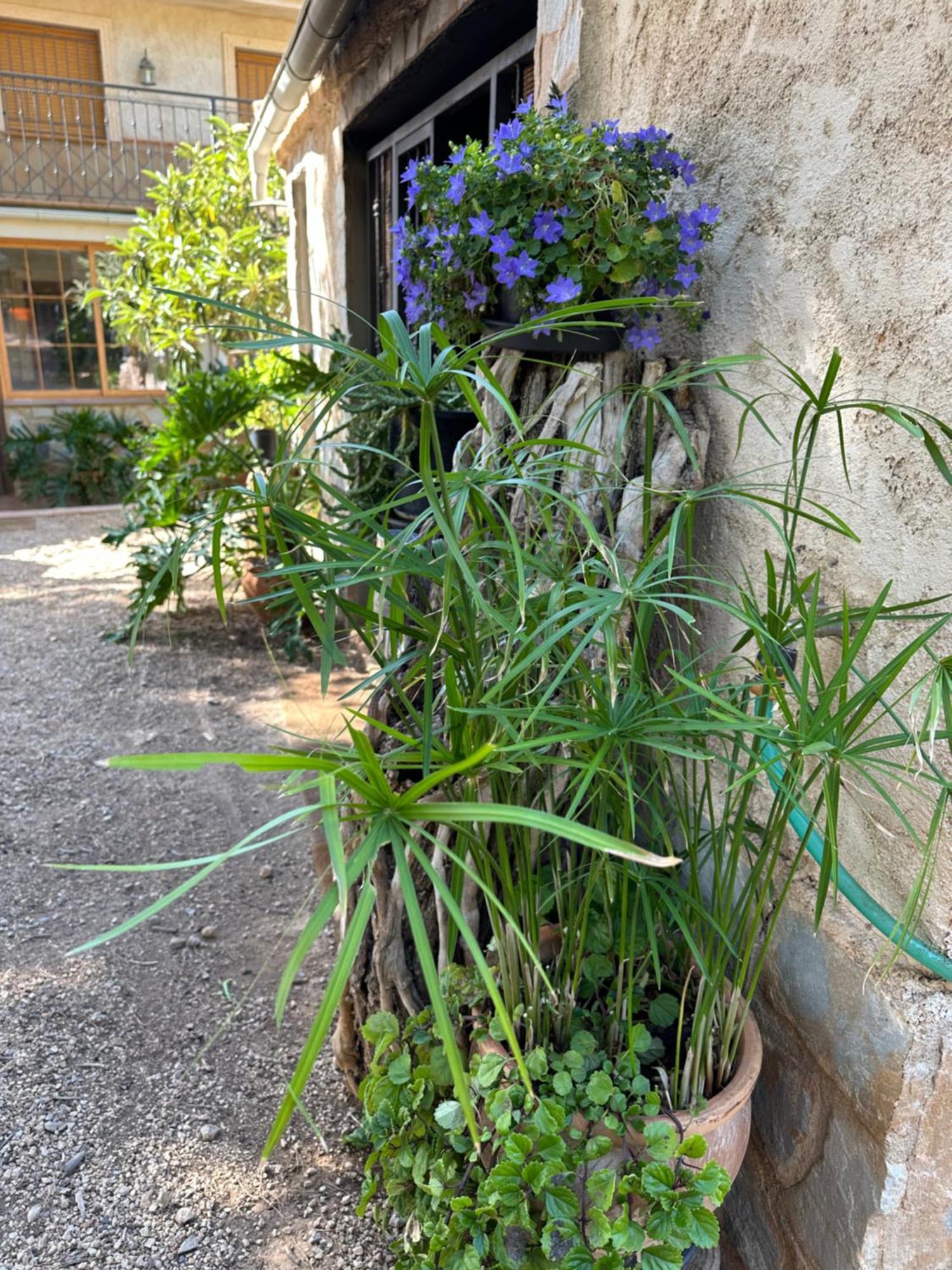 Casas Rurales Cerro Lobo ジェステ エクステリア 写真